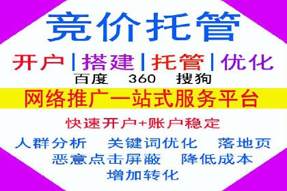 某电商平台的成功案例：信息流优化师的策略与成果